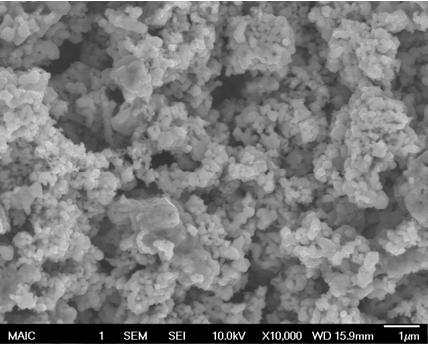 Lanthanum Strontium Manganite SEM Image 1