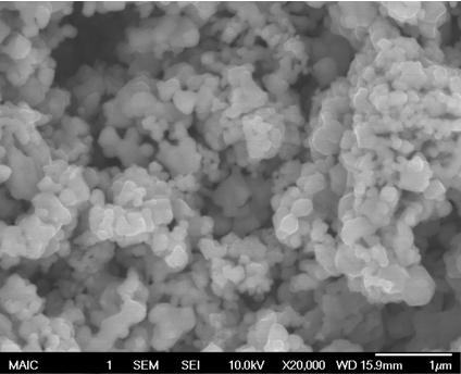 Lanthanum Strontium Manganite SEM Image 2