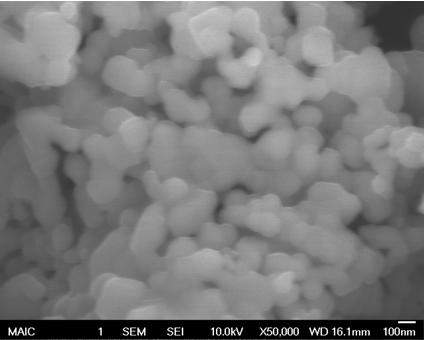 Lanthanum Strontium Manganite SEM Image 3
