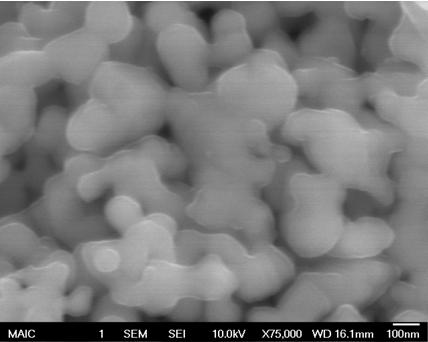 Lanthanum Strontium Manganite SEM Image 4