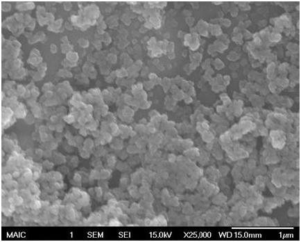 Zinc Sulfide Nano-Powder SEM