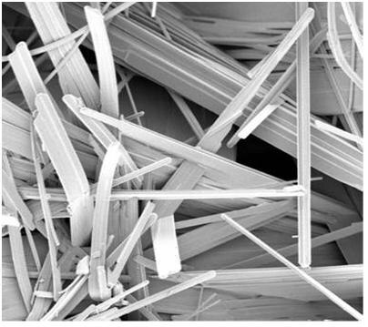 Silver Vanadium Oxide under SEM